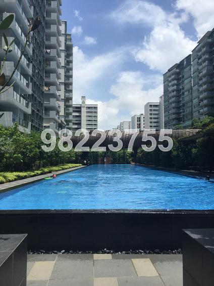 The Minton (D19), Condominium #149622912